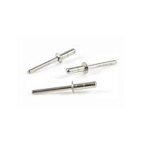 Prime Quality Stainless Steel Blind Rivets Natural Finish