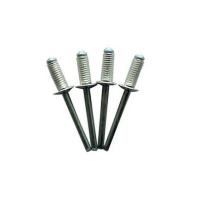 Prime Quality Stainless Steel Blind Rivets Natural Finish