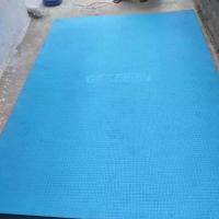Blue Cow Mat