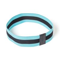 Blue Glute Bands