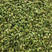 Bold Green Natural Cardamom