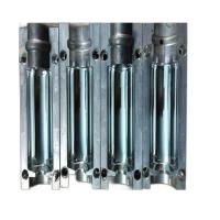 Bottle Blow Mold