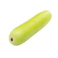 Good Quality Organic Fresh Garden Vegetables Bottle Gourd