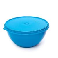 Bowl Plastic Container