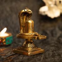 Brass Puja Shivling Image