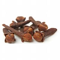 Brown Myrtus Caryophyllus