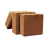 Buffered Coco Peat Block