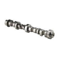 Cam Automotive Shaft