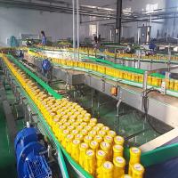 Canned Vegetable Processing Line