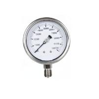 Capsule Pressure Gauge