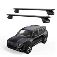 Car Stylish Roof Rail