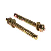 Carbon Anchor Fasteners