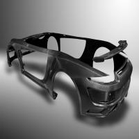 Carbon Automobile Bodies