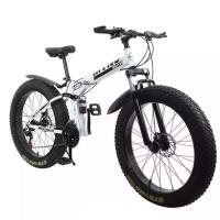 Carbon Steel Gear Cycle, 24 inch tire tube wheels