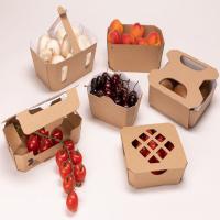 Carton Corrugated Fruit Box, Food-grade vented panel Image
