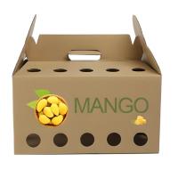 Carton Corrugated Fruit Box, Food-grade vented panel