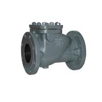 Cast Iron 100MM Non Return Valve, ‎0.28 g item weight Image