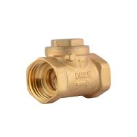 Cast Iron Brass Non Return Valve, Silver colour Image