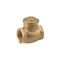 Cast Iron Brass Non Return Valve, Silver colour