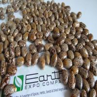 Castor Herbal Seeds