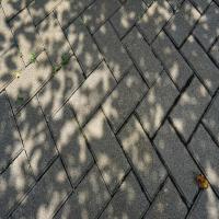 Cement Paving Blocks