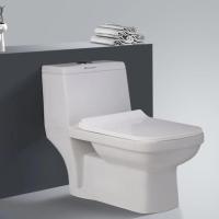 Ceramic White Toilet