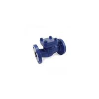 Check Cast Lift Valve