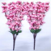 Cherry Blossom Flowers Image