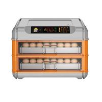Chicken Hatching Machine