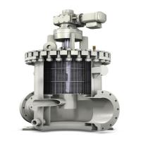 Cleaning Self Strainers