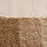 Coarse Rye Flour Image