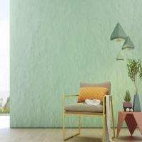 Coating Wall Paints