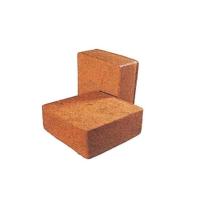 Coco Coir Blocks