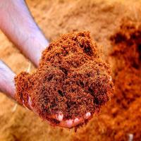 Coco Coir Peat, Healthy plant growth method use Image