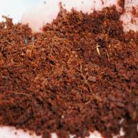 Coco Coir Peat, Healthy plant growth method use