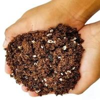 Coco Peat Potting Soil, Hold large quantities water