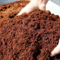 Coco Peat Soil, Environmentally friendly resource Image