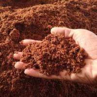 Coco Peat Soil, Environmentally friendly resource