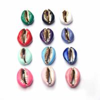 Colored Cowrie Shells