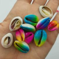 Colored Cowrie Shells