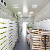 Commercial Cold Storage Room