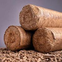 Common Biomass Briquette
