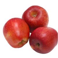Common Fresh Apple Image