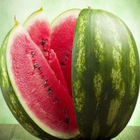 Common Fresh Watermelon