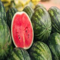 Common Fresh Watermelon