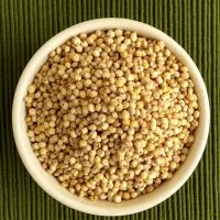 Common Sorghum Millet