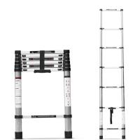 Compact Folding Ladders