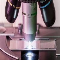 Compound Light Microscope, High power, multiple lenses