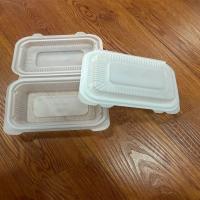 Container Thermoformed Tray Image