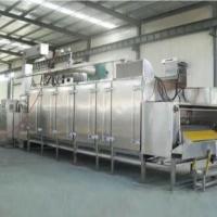 Continuous Conveyor Dryers